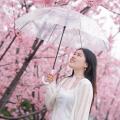 小半截的诗集