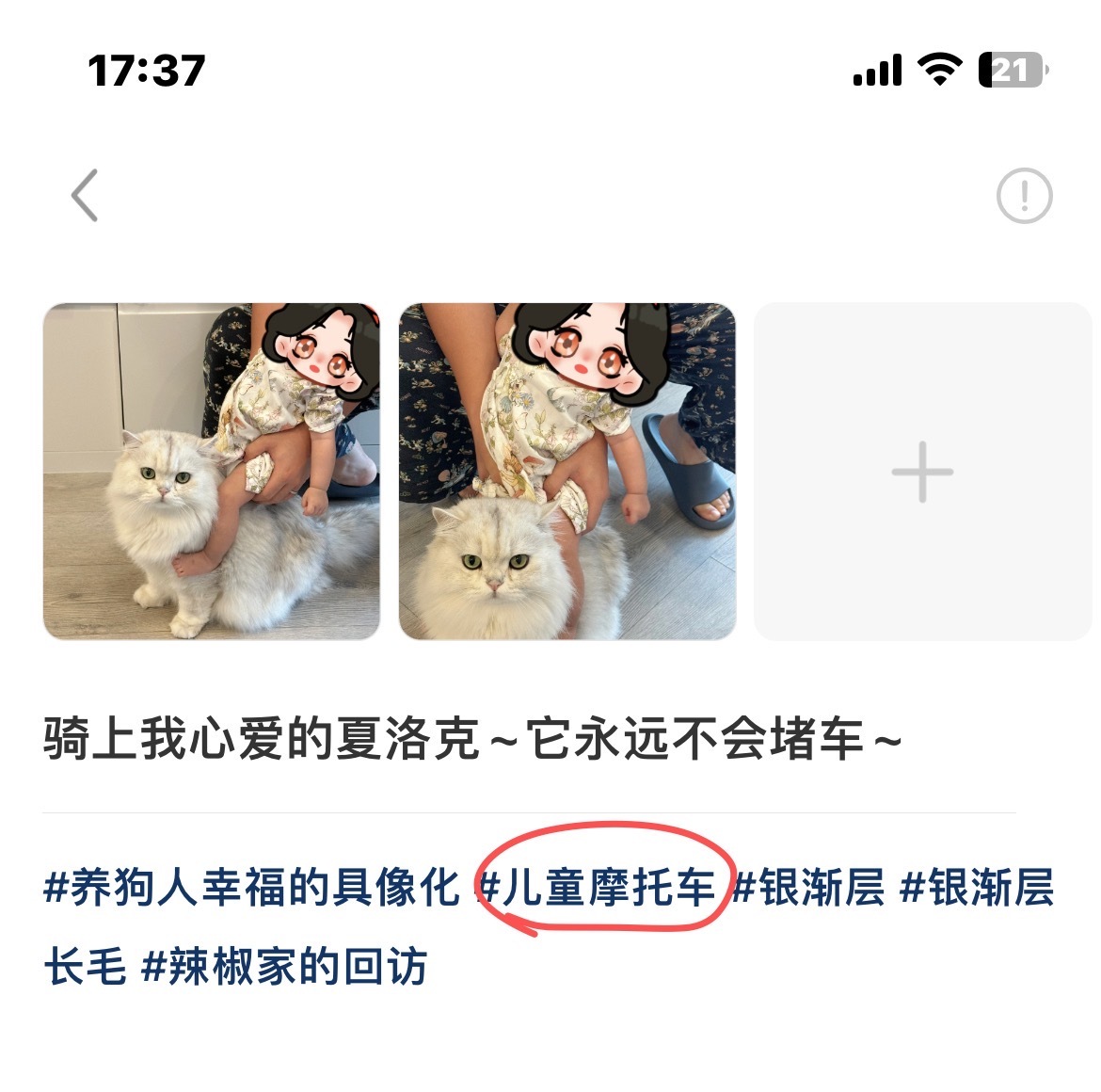 骑上我心爱的夏洛克~~它永远不会堵车~~咱就说小红书是懂联想的#英国长毛猫##银