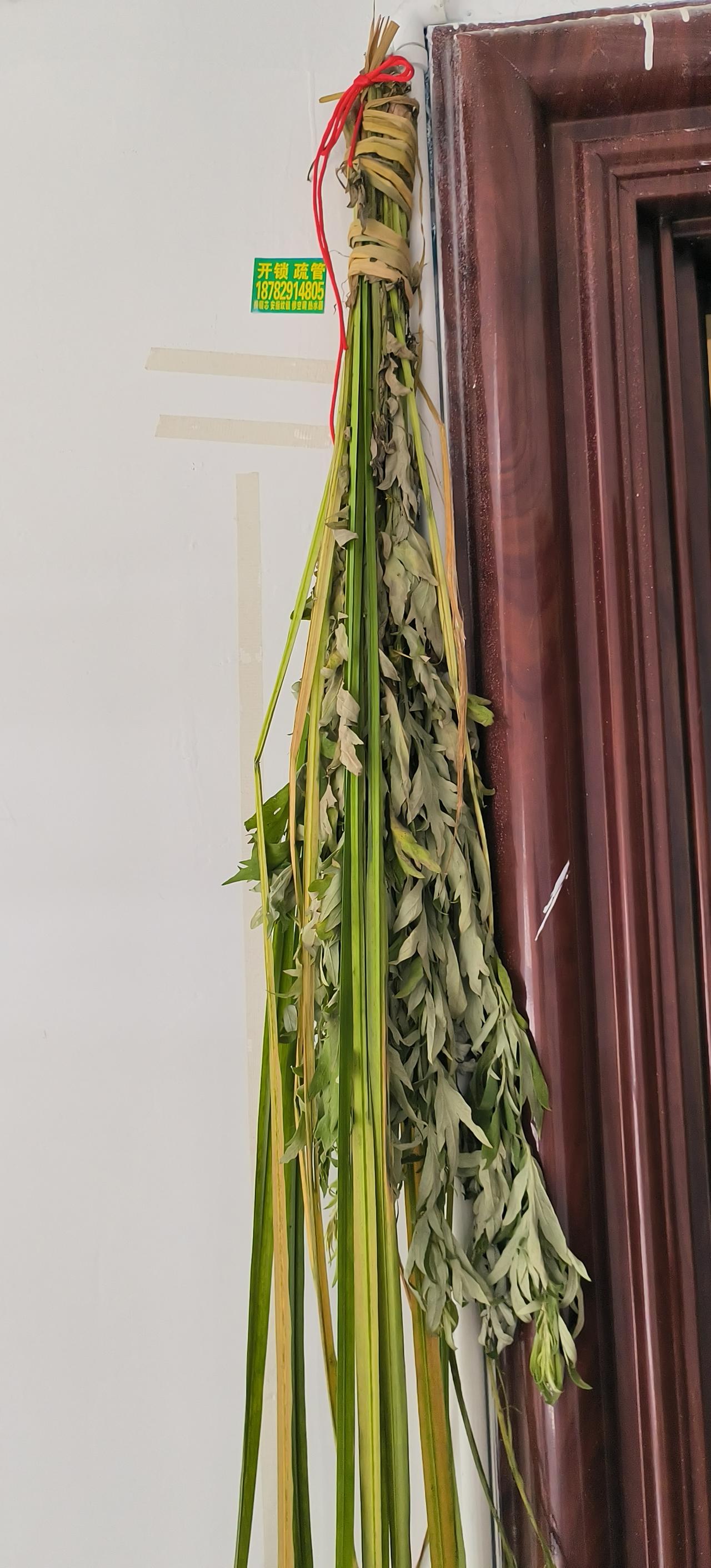 今年端午节，我家过的跟以前不一样。
往年我妈早早就起来包粽子， 少说也包3、40