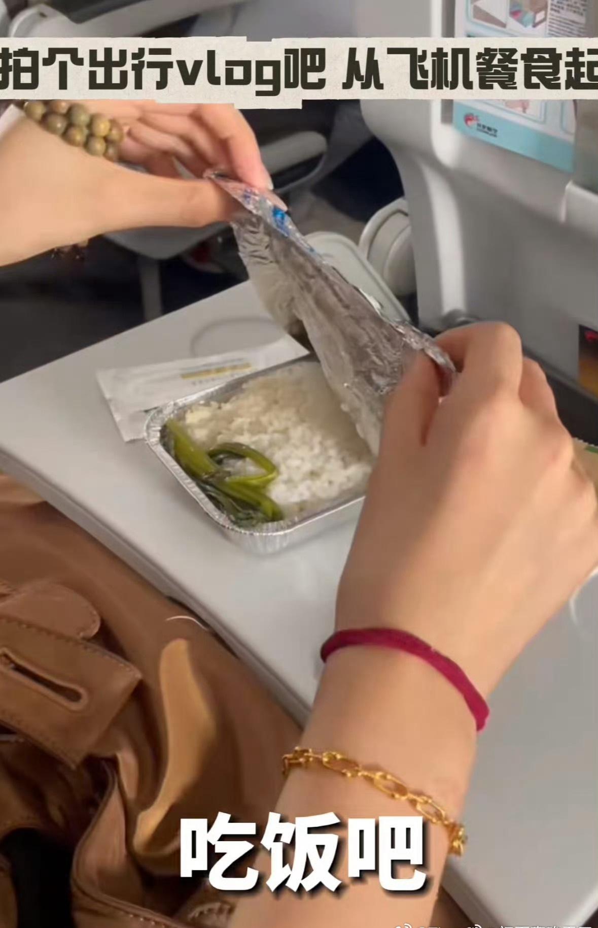 哪家航司如此穷，
一根青菜伴君程？
岂知白米来不易，
云里雾里勤耘耕。

飞梭南