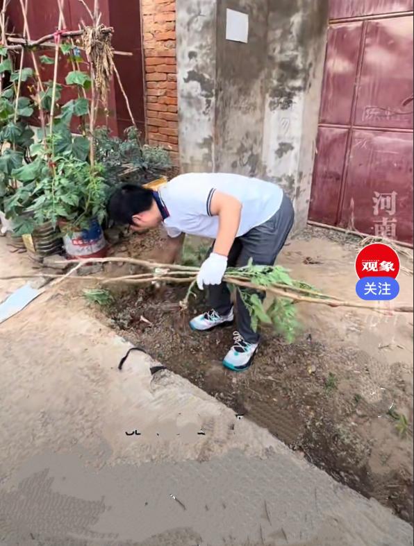 近日，河南一男子回老家，刚走到大门口傻眼了…… 
男子门口、院墙周边，全被邻居种