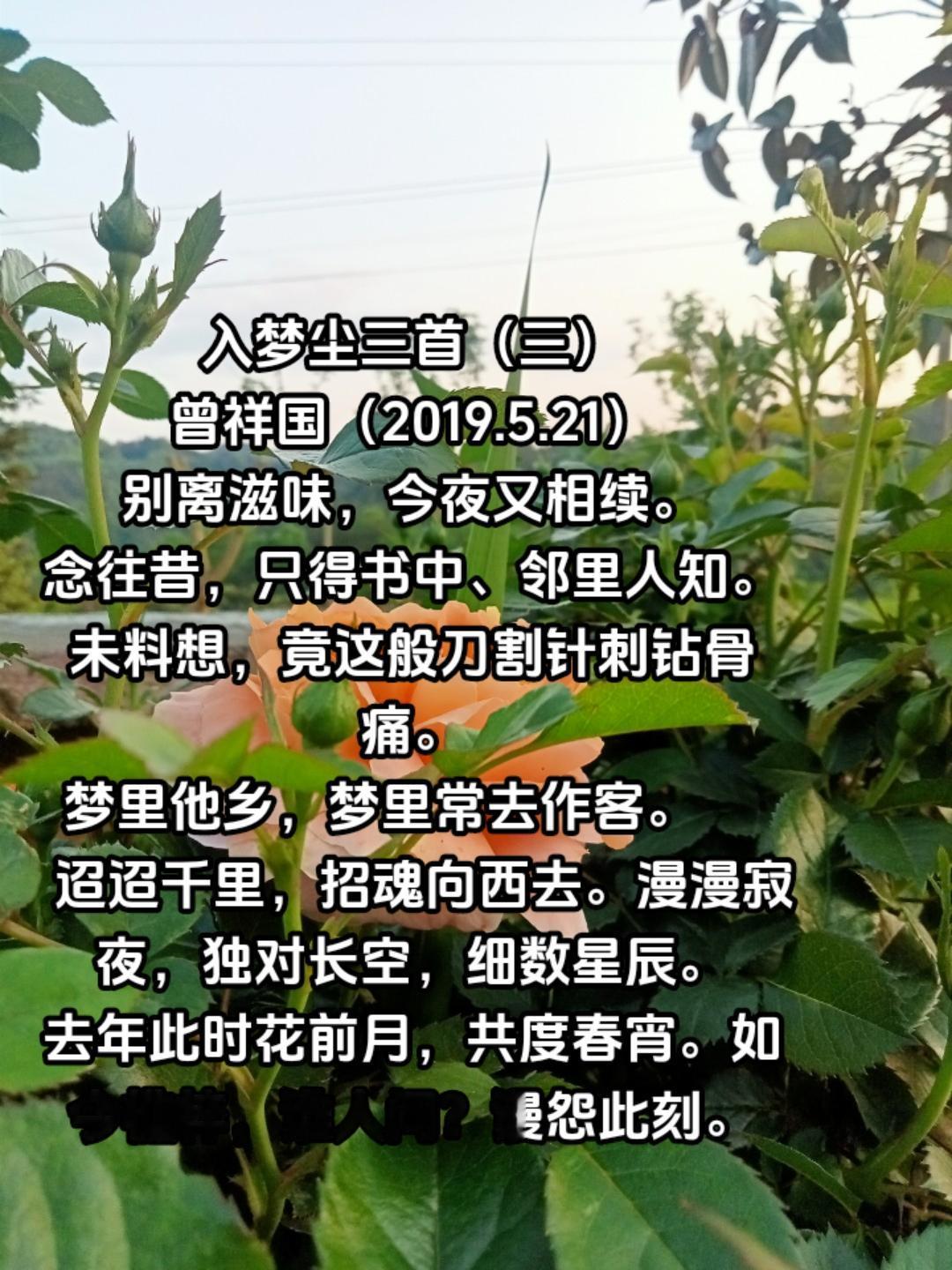 入梦尘三首（三）