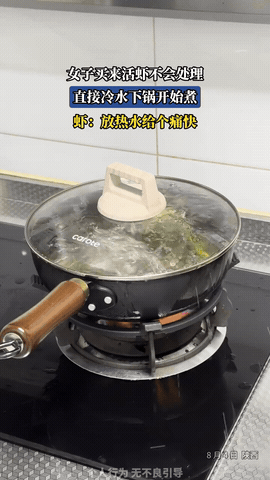 笑不活了！女子从市场买回家鲜活的大虾，看它们活蹦乱跳的，一时间无从下手了，她干跪
