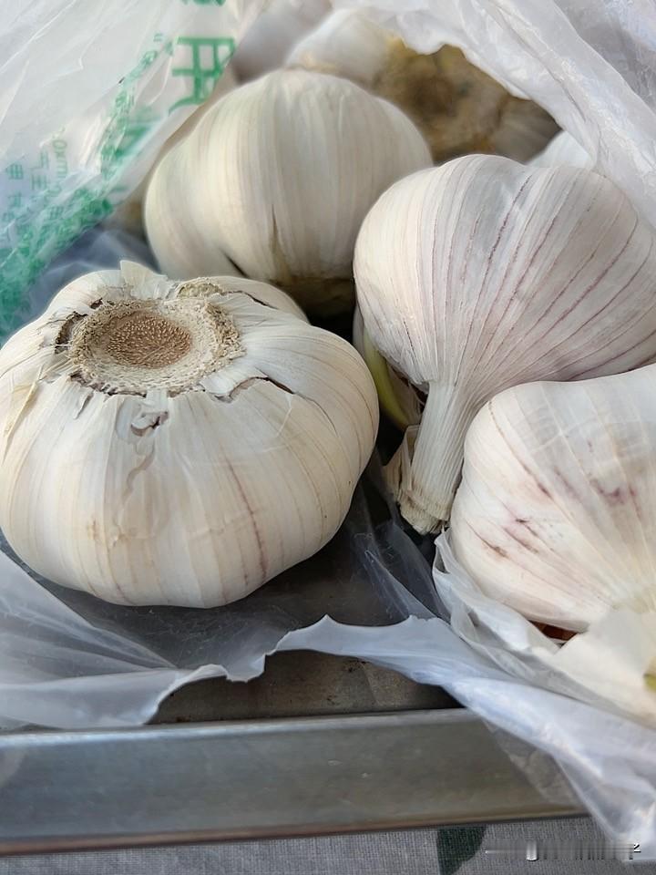 我今天买了些大蒜，要开始泡腊八蒜了，我都感觉有些晚了，1月26是腊八节！

把刚
