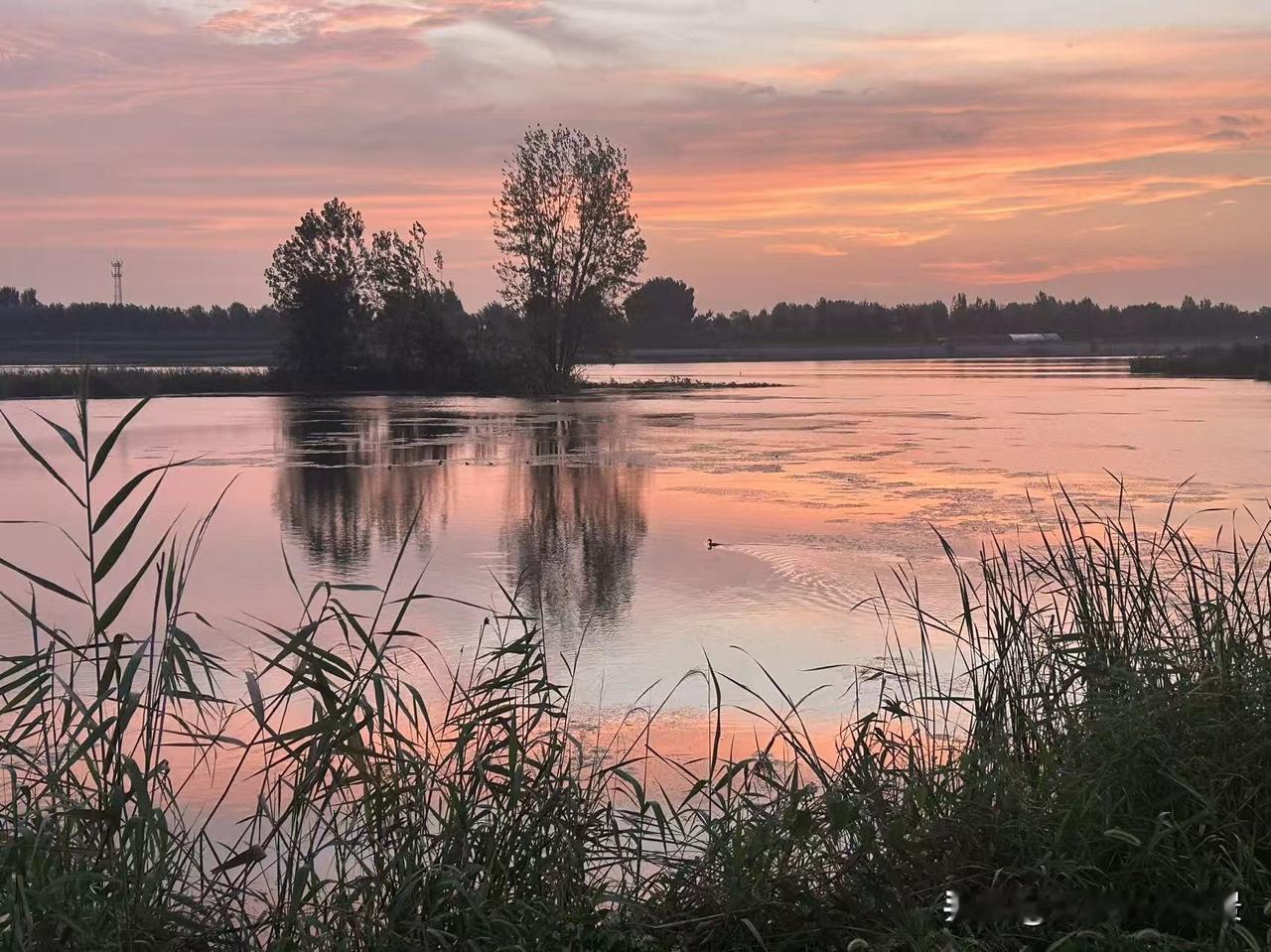 随手拍一张夕阳西下今天下午刚拍的，河边美景莫属日落余晖