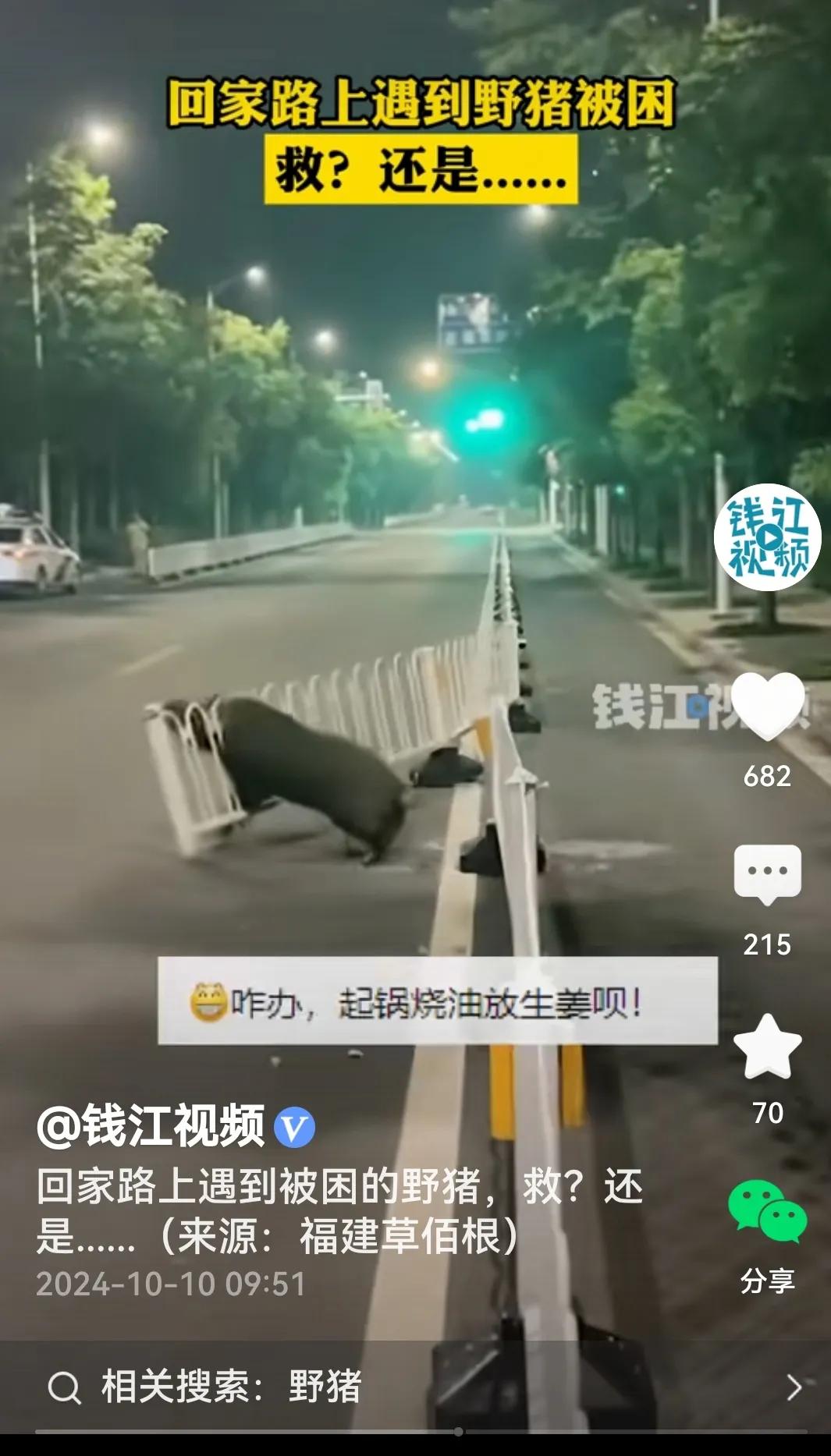 #路人偶遇一头野猪被卡护栏进退两难#
是的，视频里看到，一头野猪被被卡在了路上隔