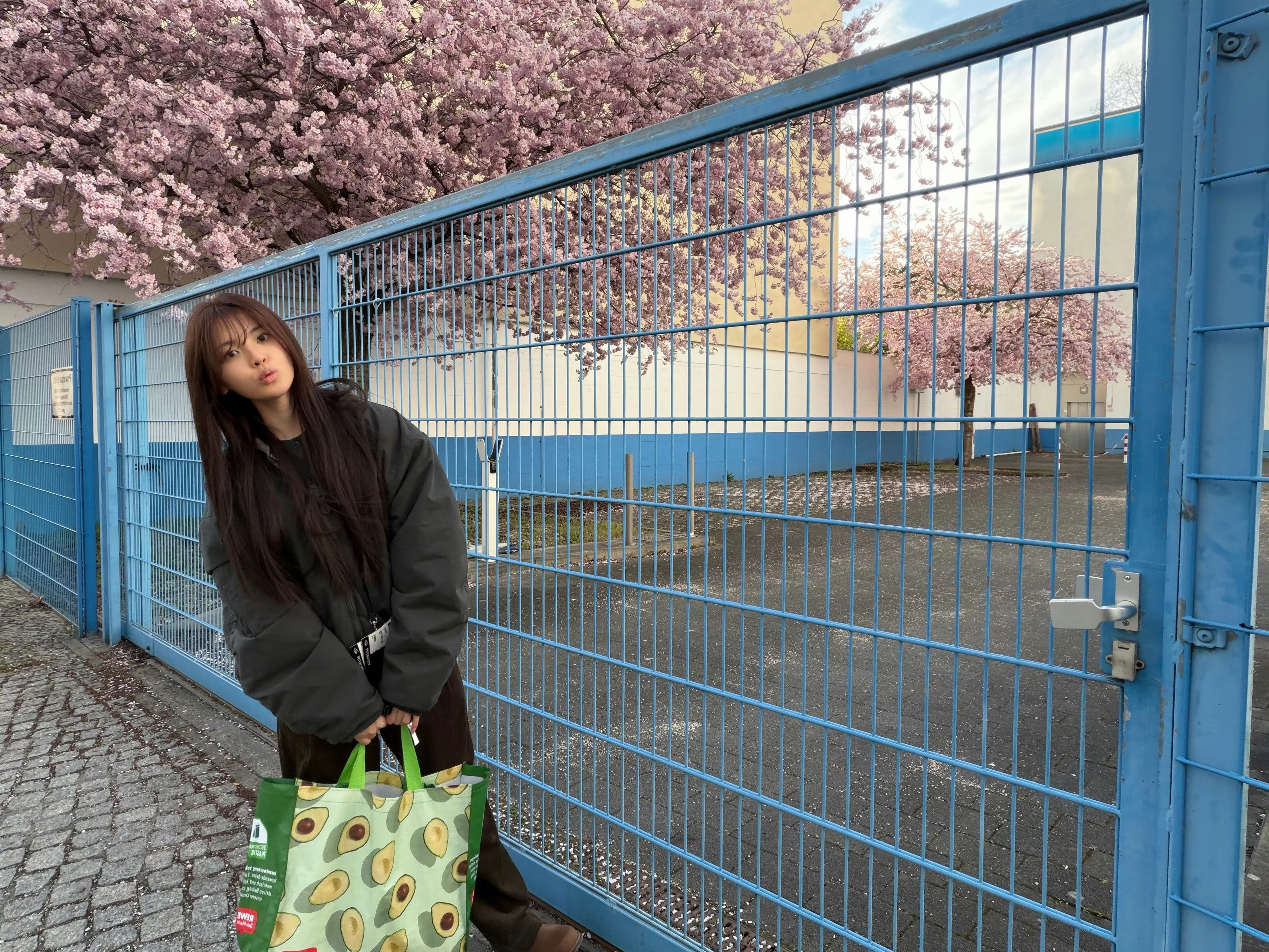 杨超越极限挑战杨超越分享日常plog 明信片掉落如此美萌之，素素的超越也很美，完