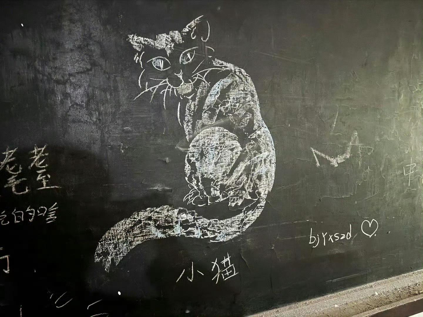 王星越也太搞笑了，不是哈哈哈哈哈哈哈哈，还是博君一肖太权威了。 ​​​