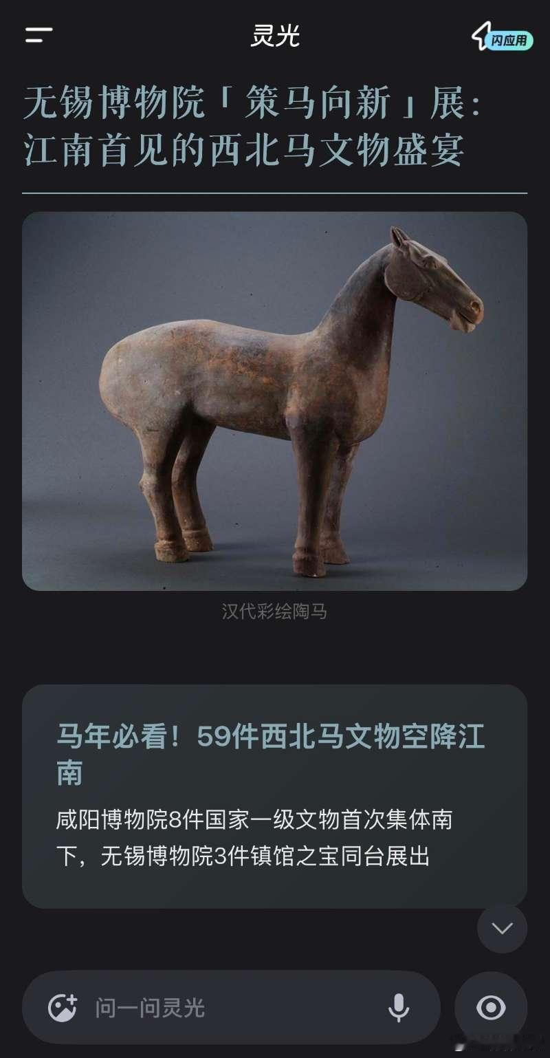 我的马年抓马之旅 江苏江阴有个海澜马文化博物馆，你们知道吗？这里有30多个国家的