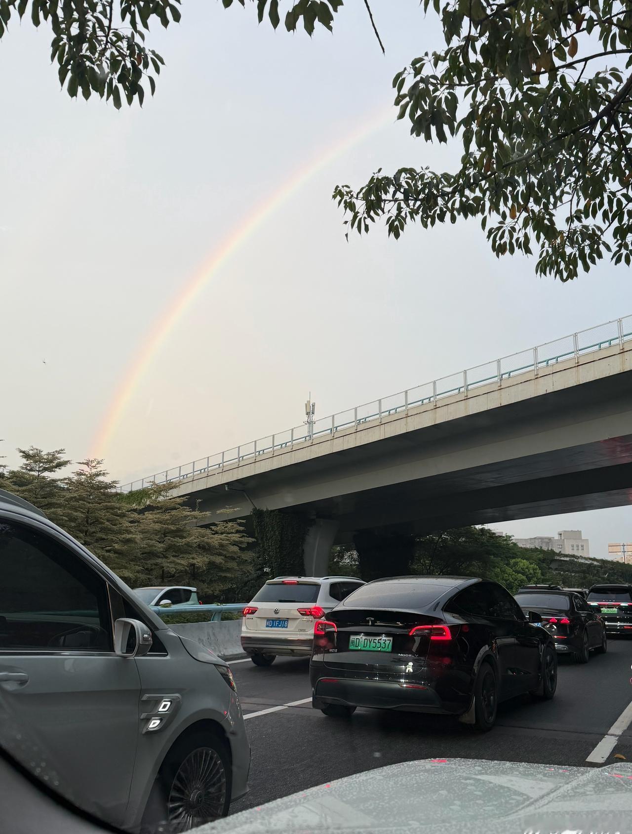 昨天雷暴，今天彩虹，厦门这座城市还是很会安慰人的[允悲] ​​​