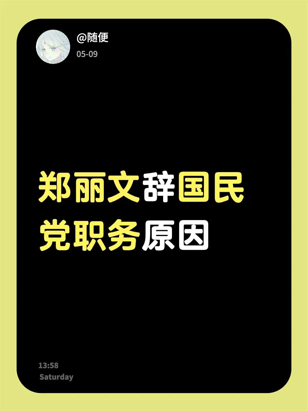 郑丽文辞国民党职务原因