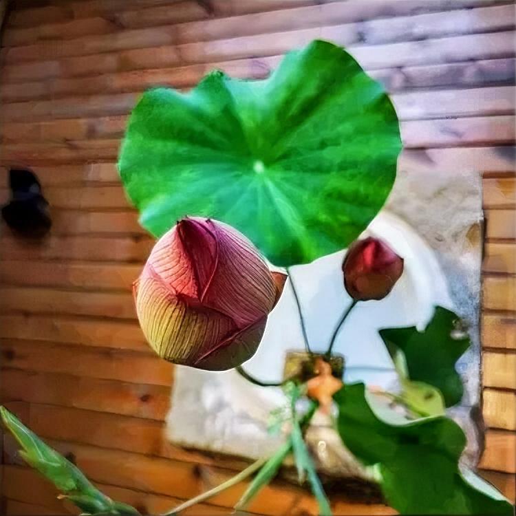 张小娴说：“无论你有多好，总会有不珍惜你的人。幸好，到了最后，所有不珍惜的人，都