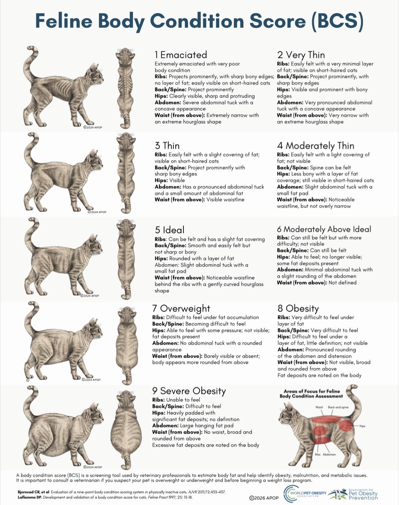 🐾 猫/犬/马 体况评分（BCS）这是国际通用的9分制体况评分体系...