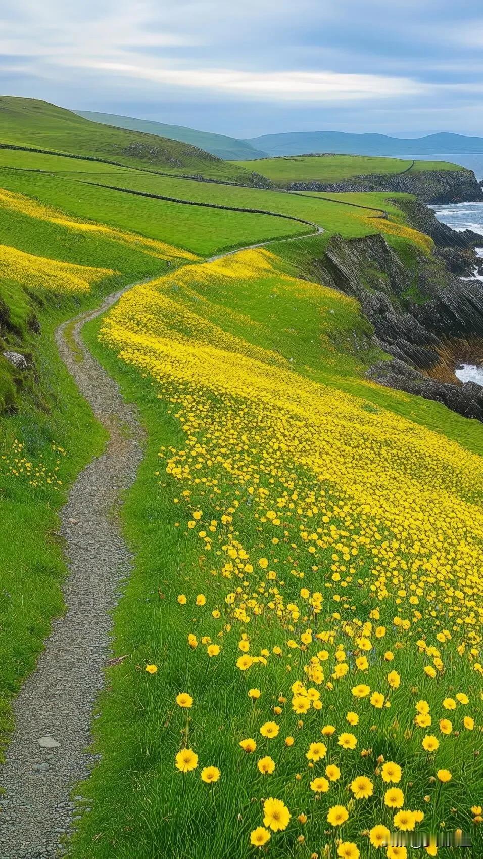 #秋日生活打卡季##手机风景照分享# #治愈系美景照# #晒晒美景图片# #美景