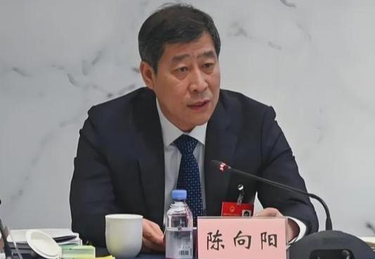 山西长治市原市长陈向阳被查，终究还是没有逃过被查的命运。

留神峪煤矿瓦斯爆炸发
