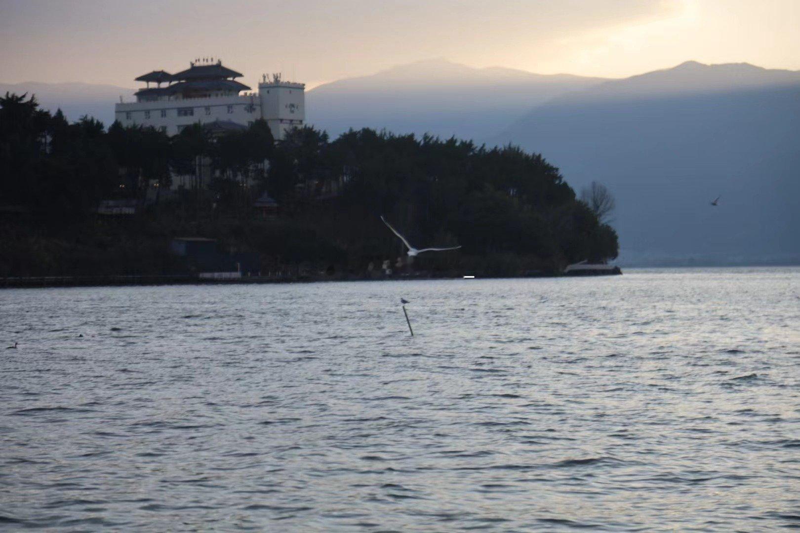 在洱海边，把时间浪费在好吃的上才算数⛰️苍山脚下，洱海之畔，推开这扇木质小门，仿