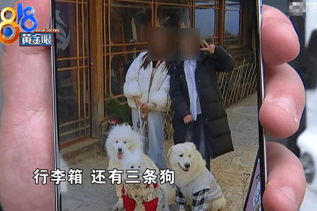 想白嫖？2026年3月21日，浙江杭州，一男子自驾到丽江时，在平台接了回杭州的订