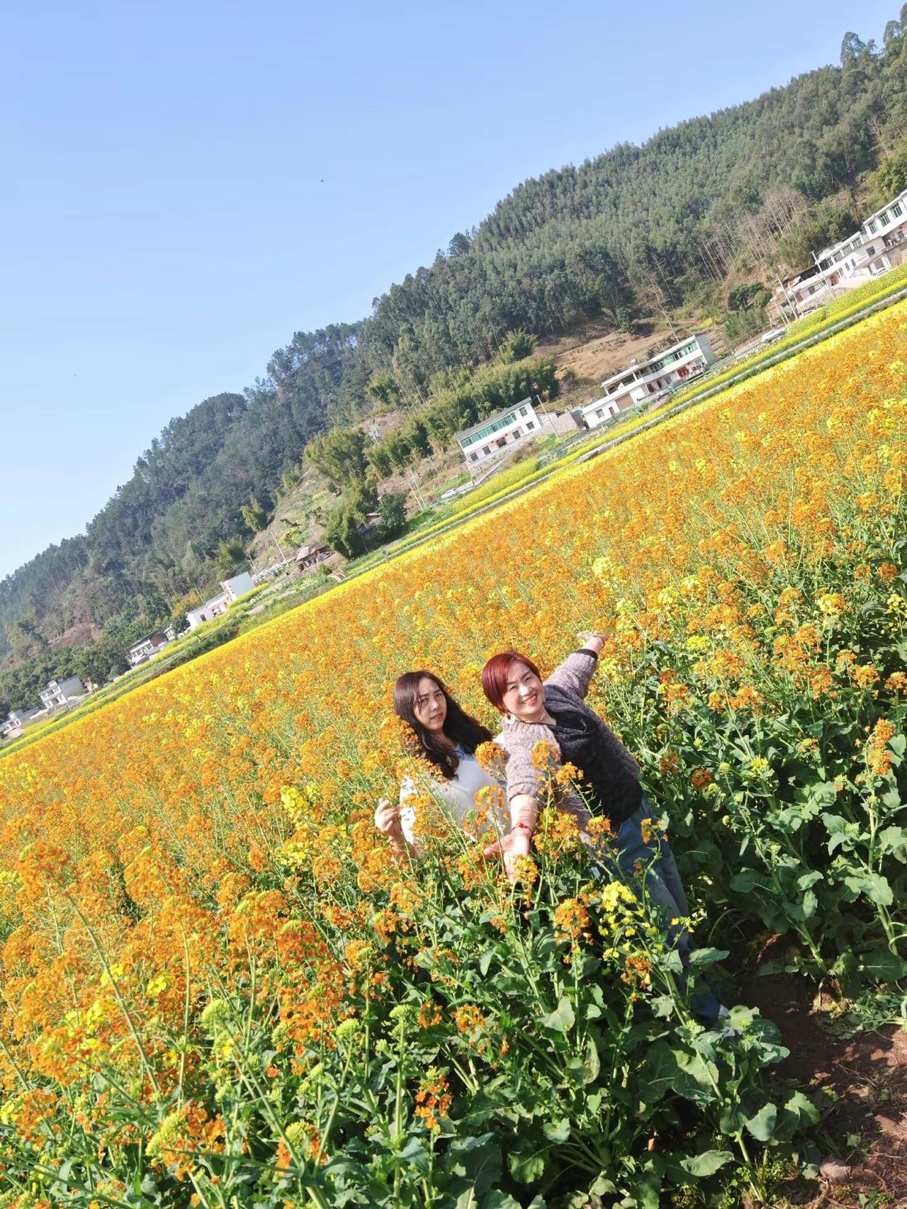 风是甜的，阳光是暖的，满山油菜花，是春天写给大地最灿烂的诗，不必追赶花期，你站在