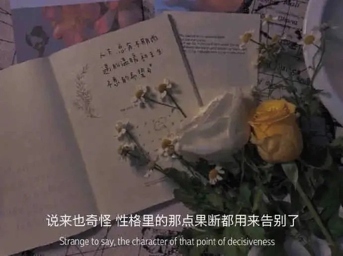 女人的生存铁律：健康打底，事业撑腰，学习破局 别信那些「干得好不如嫁得好」的毒鸡
