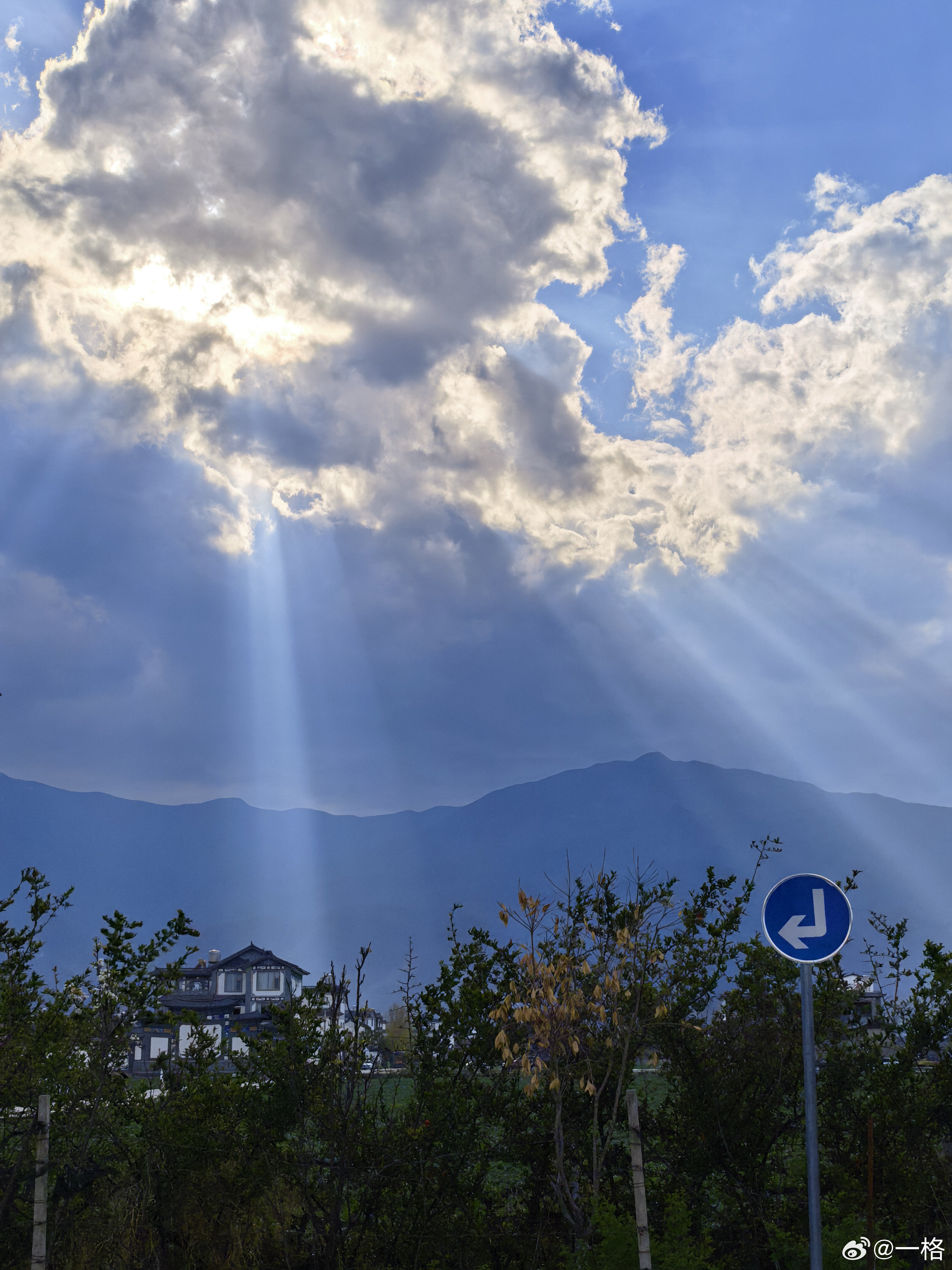 快看，达利园效应！ 大理