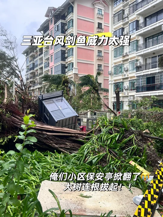 一觉起来 天塌了😰😰😰