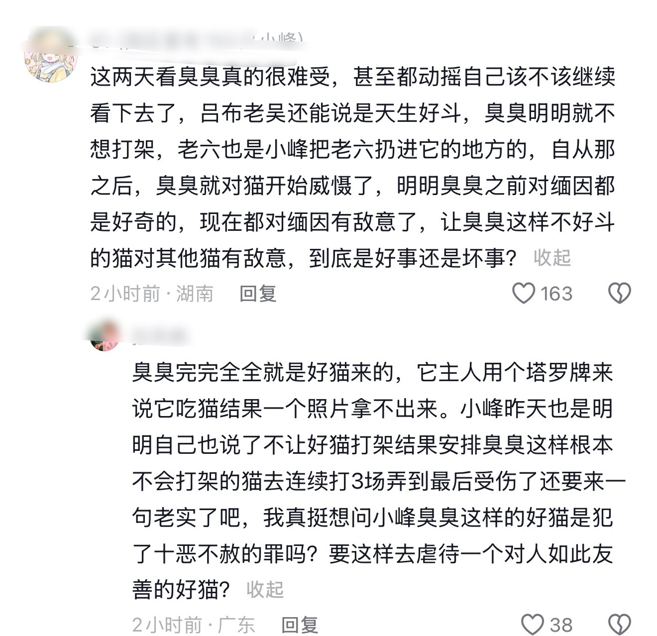 啊啊啊气死我了 臭臭的主人才是神金来的 用塔罗牌算出来说它吃了小猫 自己没能力没