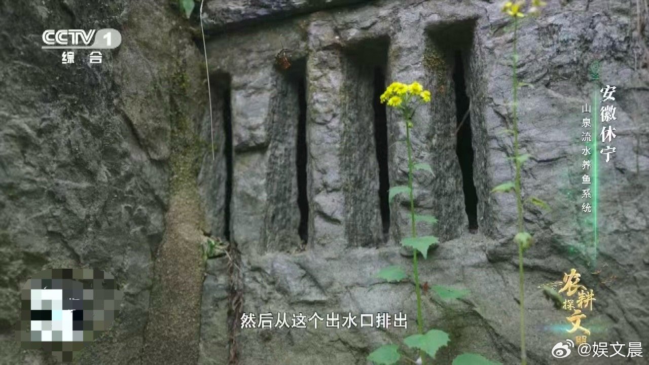中国古人养鱼用流体力学 古人的养鱼池简直超越时代！通过流体力学让水流动起来，既保