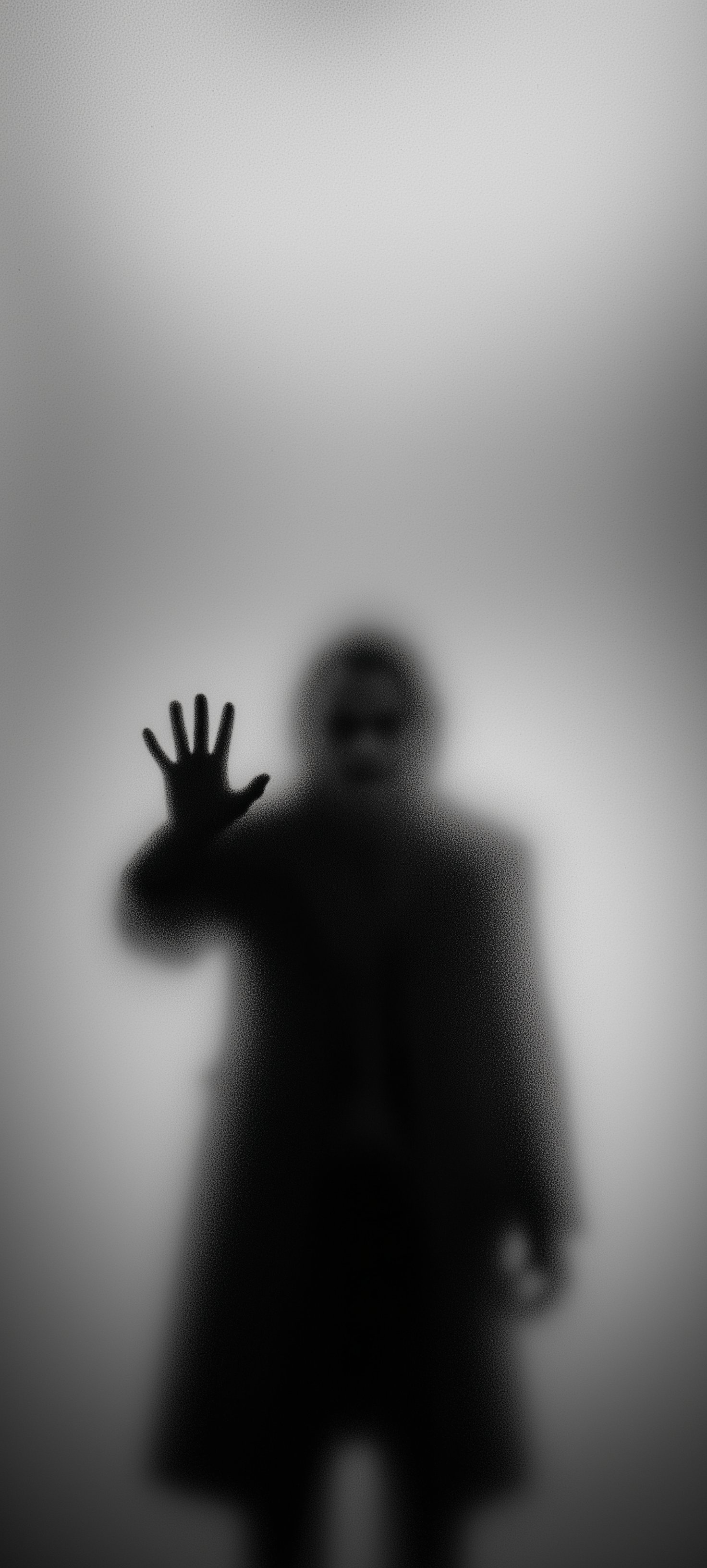 来，更新手机壁纸叻！🤡 ​​​