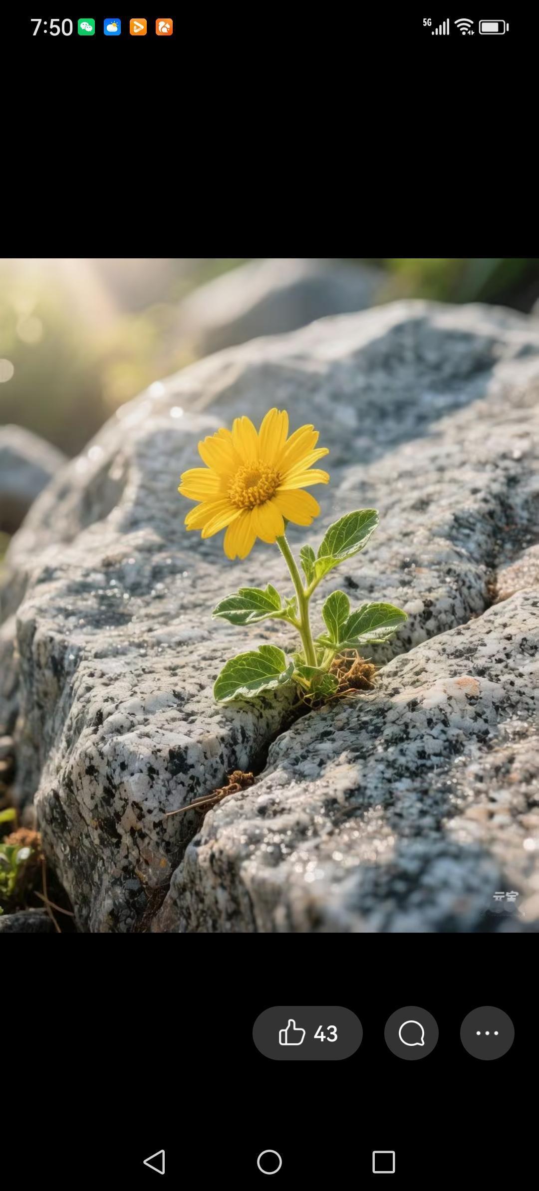 台湾兄弟快回家来吧？
啥时候台湾都回家来？几十年的离别让最早随蒋入台的老兵们都能