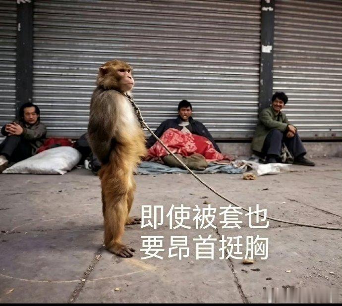 创新药大面积跌停，啥情况？耍猴被套了？ 