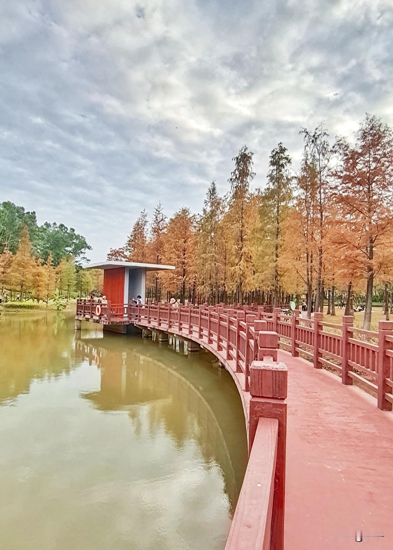 【冬日秋色】深冬时节，北国早已是白雪纷飞，而南方的深圳，却还是浓浓的秋意。那湖边