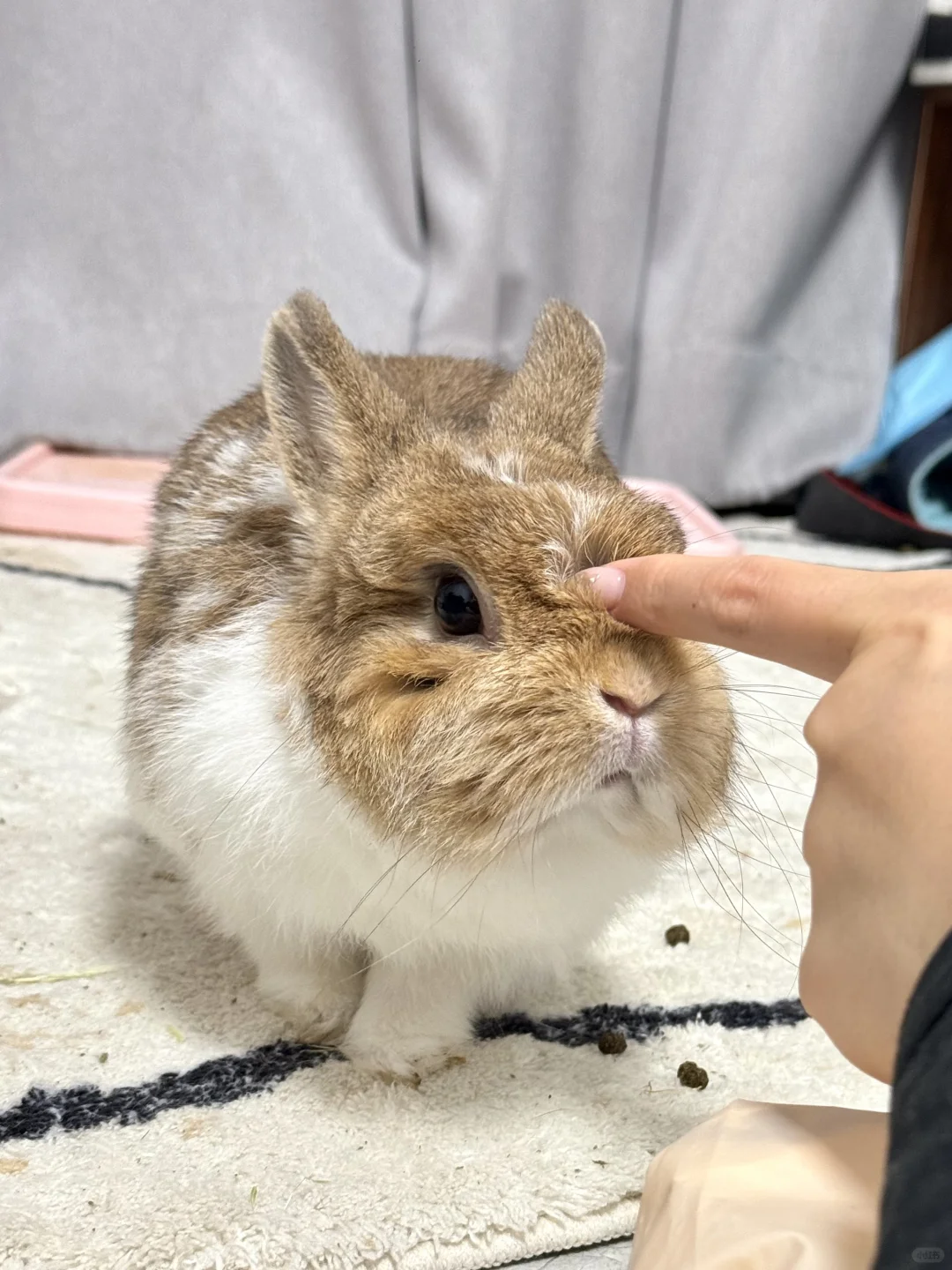 我的宝宝好乖啊啊啊