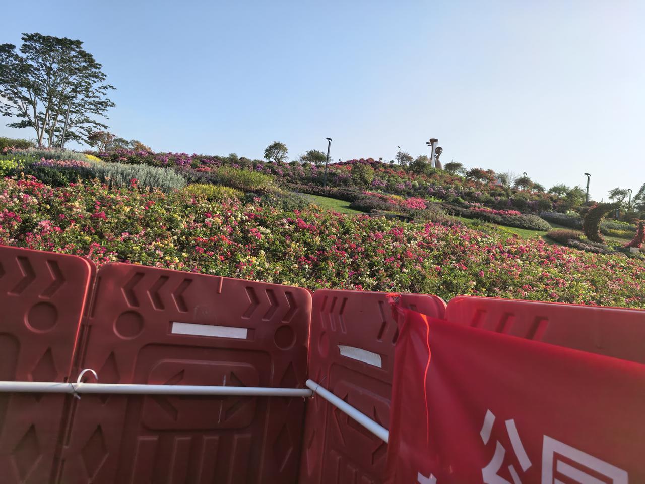 深圳坂田的山花烂漫公园，由原来的黄金山公园改造而成，非常美丽。没看到何时开放的公