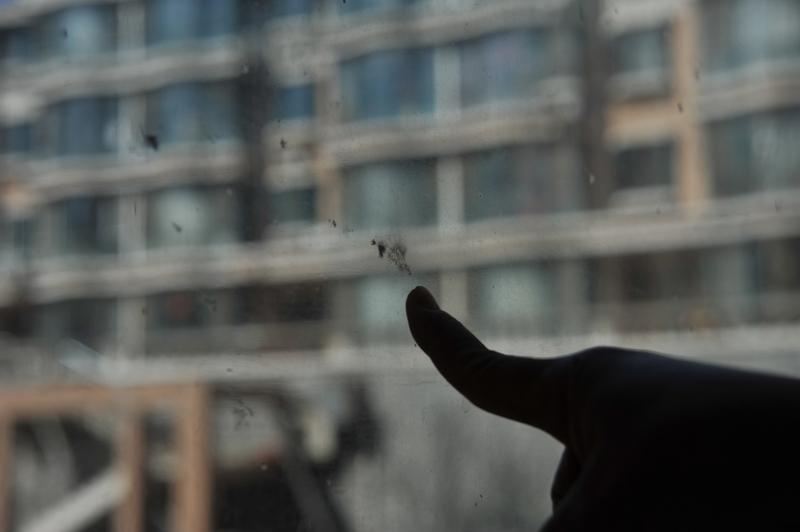 上海这起案子真是让人唏嘘。38岁性格内向的“宅男”黎某，年初结识了大他十岁且已婚