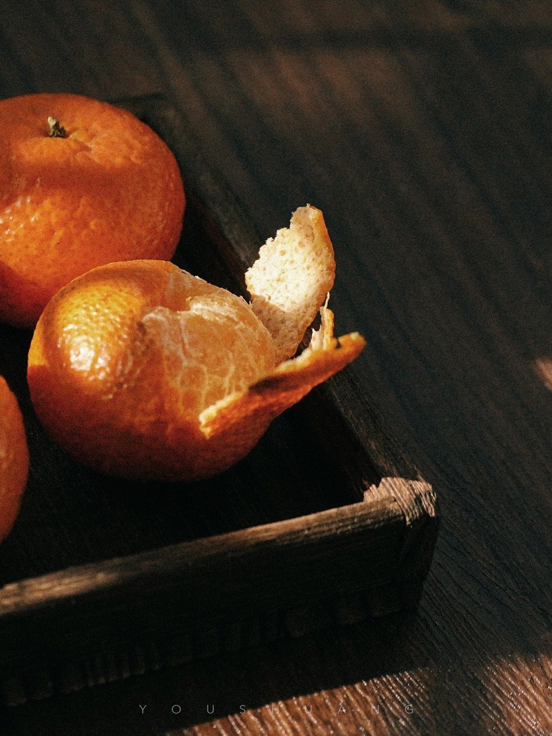 我们与世无求，与人无争，只求相聚在一起，相守在一起，各自做力所能及的事。丨杨绛《