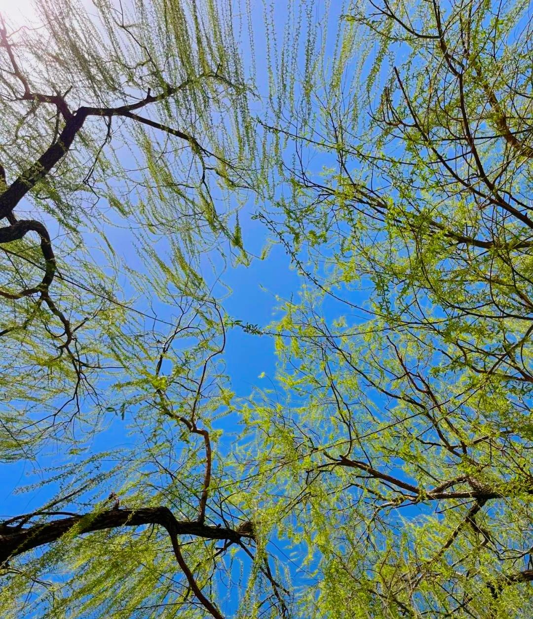 微头条互动少素材普通平淡叙事没人看？“细节延伸法”构建内容情感张力，挖出别人没写