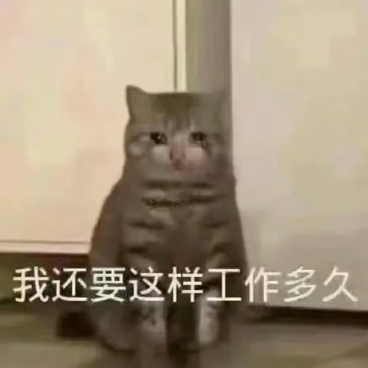 😭 ​​​
