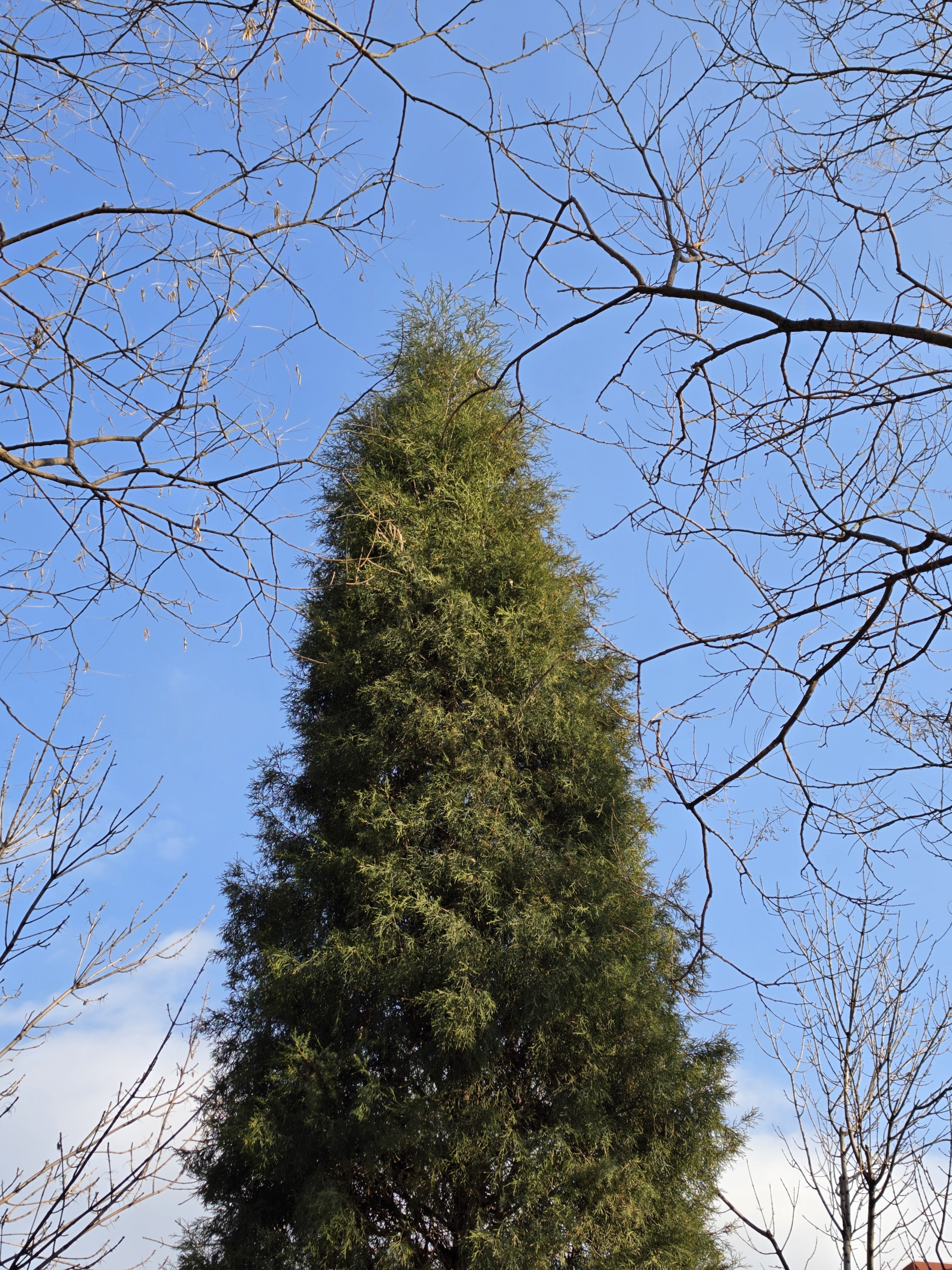 无它，唯真，S26 Ultra的24MP模式比12MP模式更加贴近肉眼所见的现实