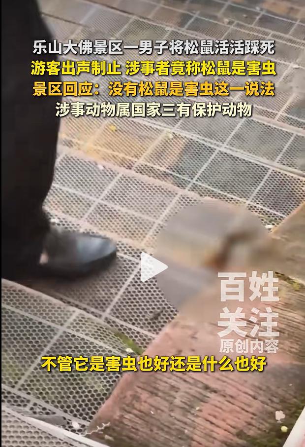 8 月 21 日，四川乐山大佛游览区域，一桩和野生小动物相关的事件，引来不少在场