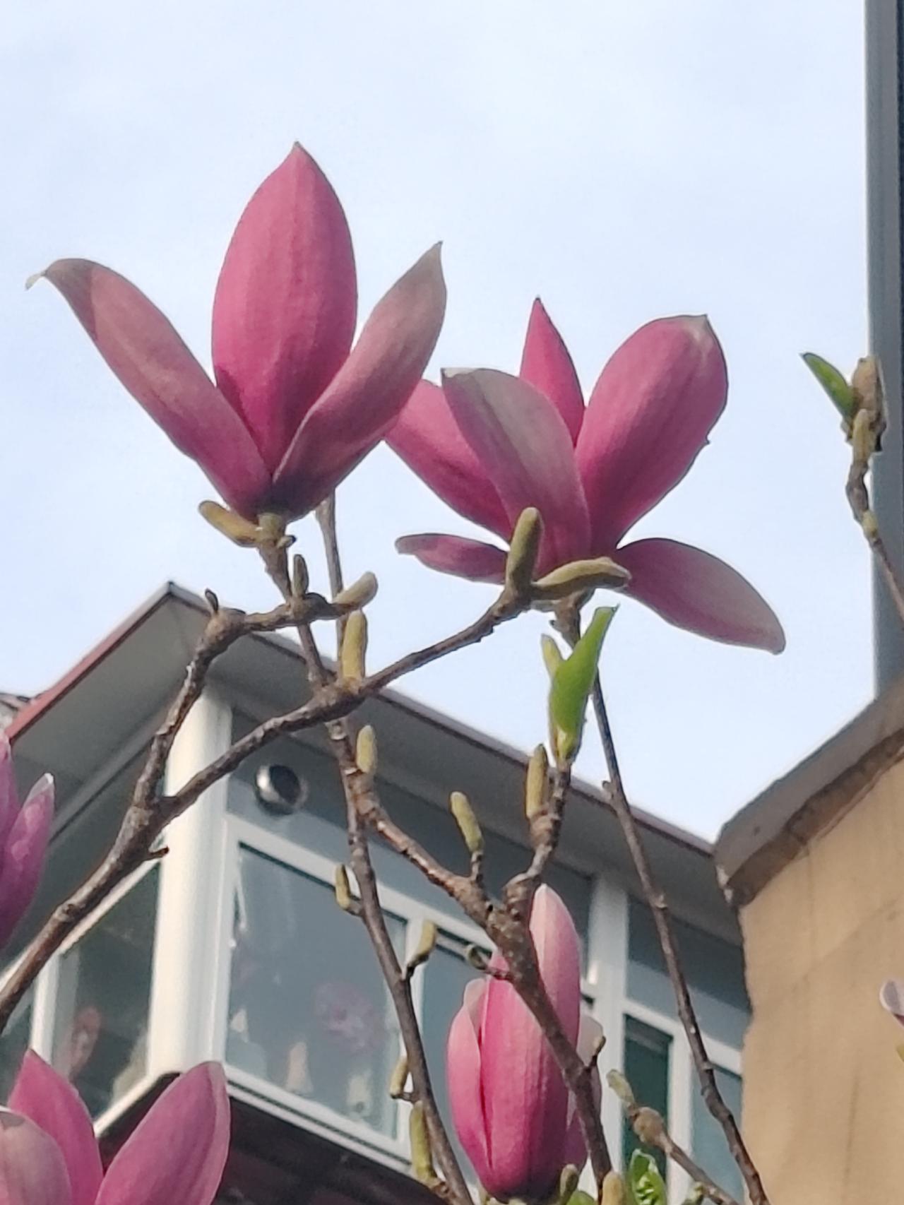 人家不小气，是你小气，是你嘴欠。人家问谁有车，大家都不吭声，就你搭茬，人家不找你