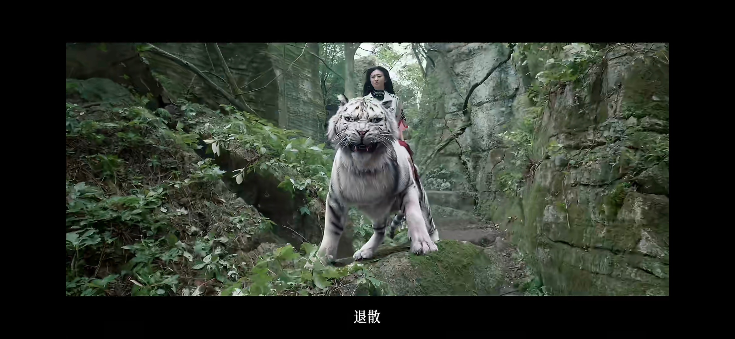 —— 心有猛虎傲骨，便容不下蝇营狗苟的虚伪逢迎，容不下口蜜腹剑的假意亲近。她乘虎