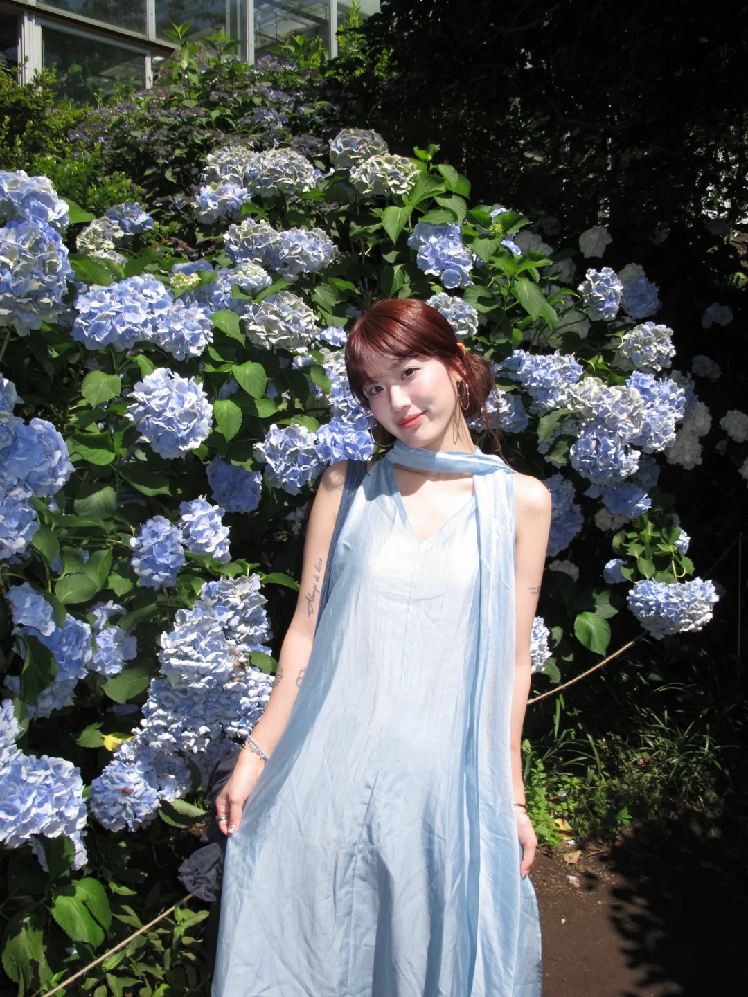 有花有海的Jeju🌳☁️