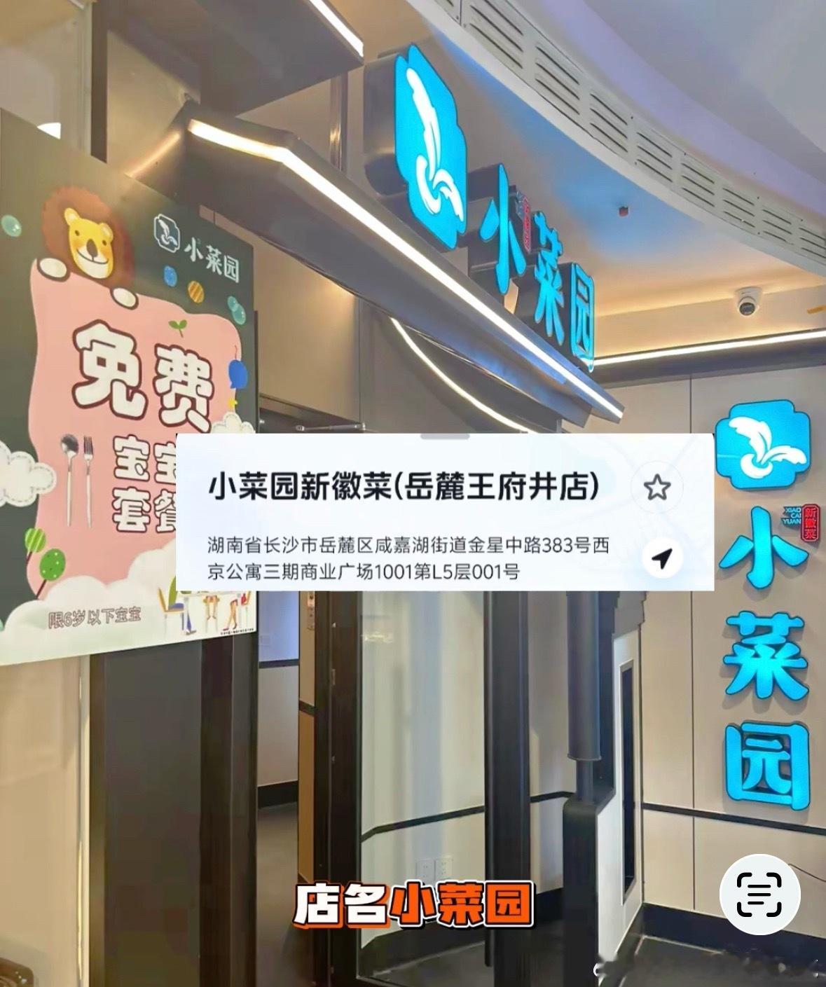 我堅決拒絶光顧讓寵物入內的食肆长沙一餐厅有顾客将餐具给狗用諸葛臥龍反忽小隊