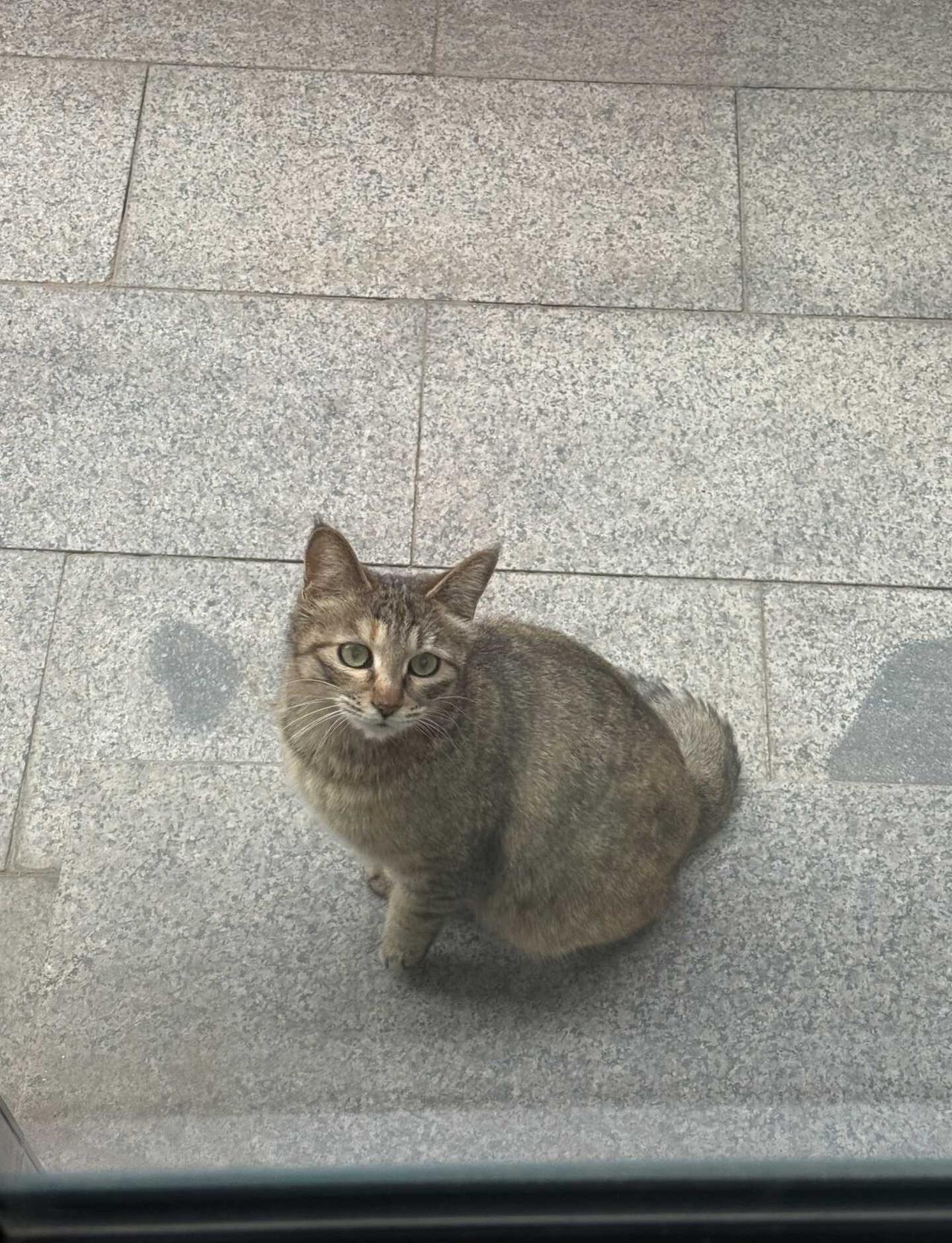 蹲一个和crush 的聊天话题
最近聊干了 没得聊了 你们平时聊啥啊 求支招cr