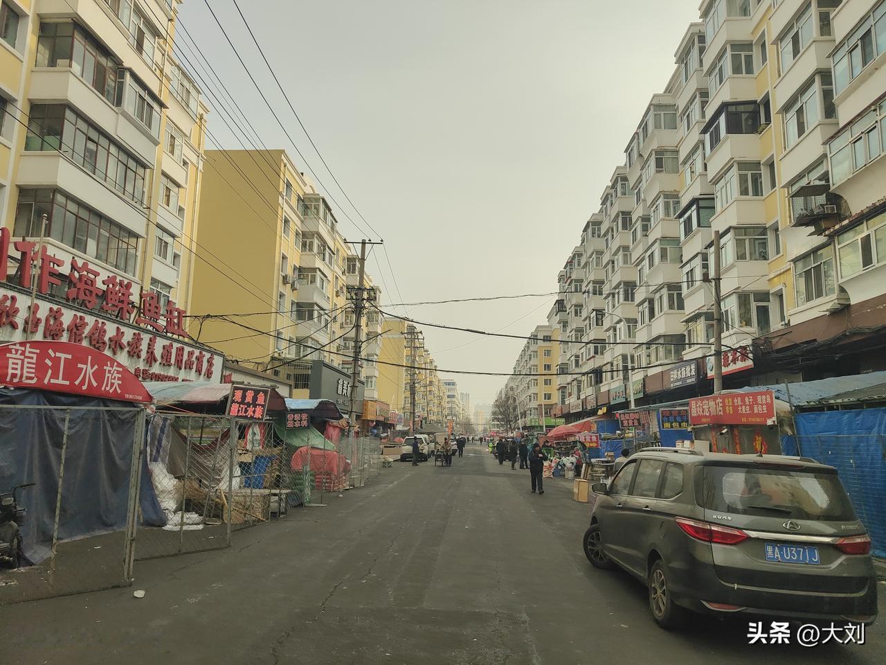 道外花鸟鱼市场，是老哈尔滨人的青春记忆