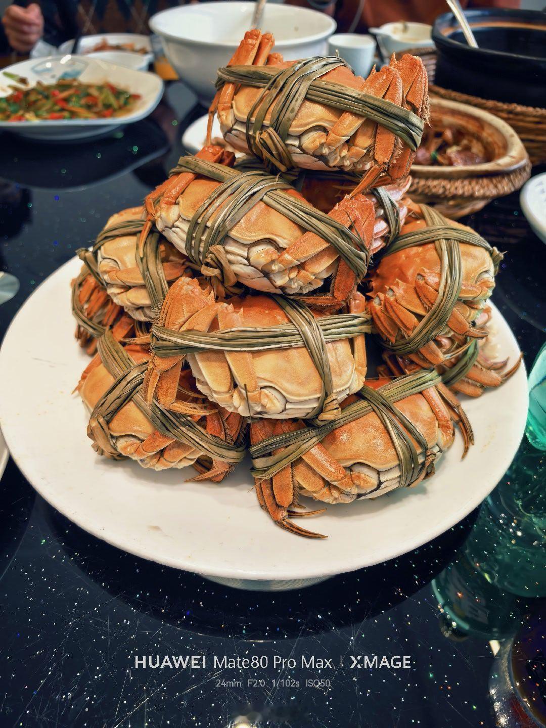 2026年第一个工作日，不开盘，就搞搞团建吧带公司小伙伴们来阳澄湖吃大闸蟹，现在