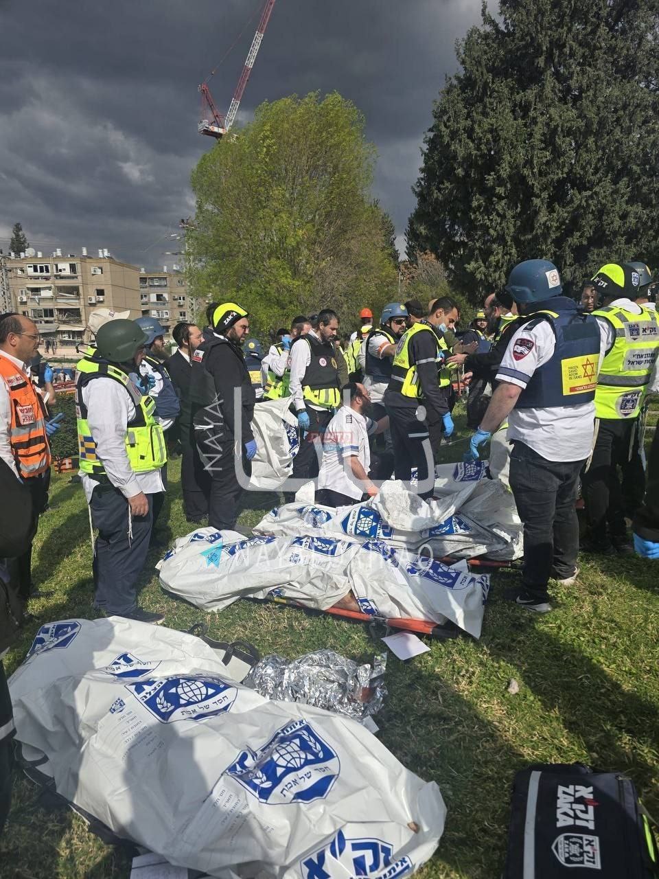 以色列人在比特谢梅什的伤亡情况 