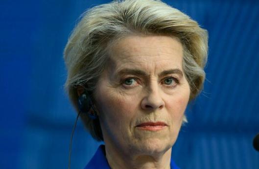 【冯德莱恩在立陶宛决定关闭与白俄罗斯的边境后表示支持】她在自己的X账户上发帖写道