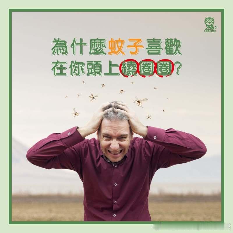 怪不得虫子总围着头顶飞 我们呼出的二氧化碳主要集中在头部周围。对于很多小飞虫（如