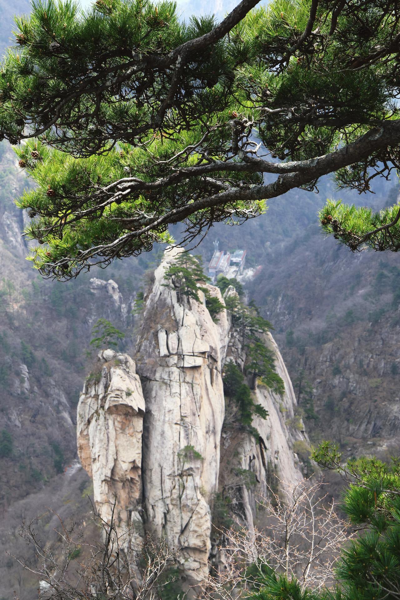 分享一张我珍藏的绝美风景照。照片里，夕阳西下，余晖将整个天际都染成了绚丽的色彩，